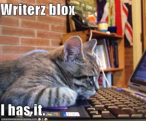 LOLcats SEO Portland