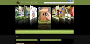 FireSpike LLC website maintenance client