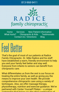 FireSpike LLC client Radice Family Chiropractic