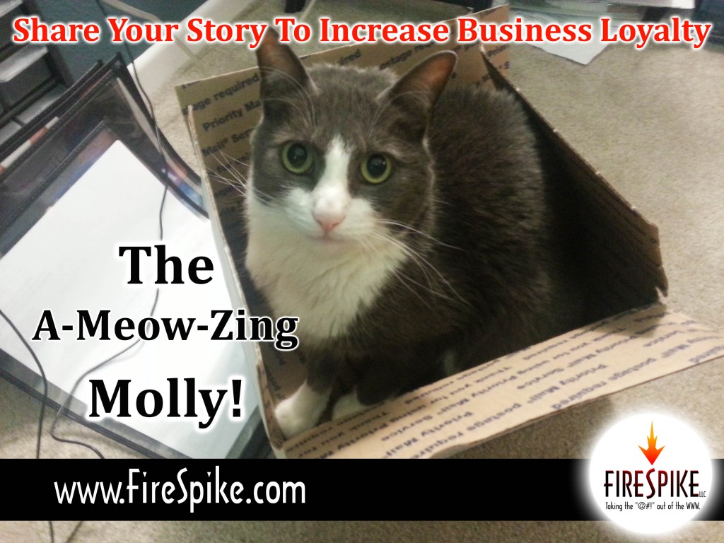 FireSpike LLC content marketing using your story.