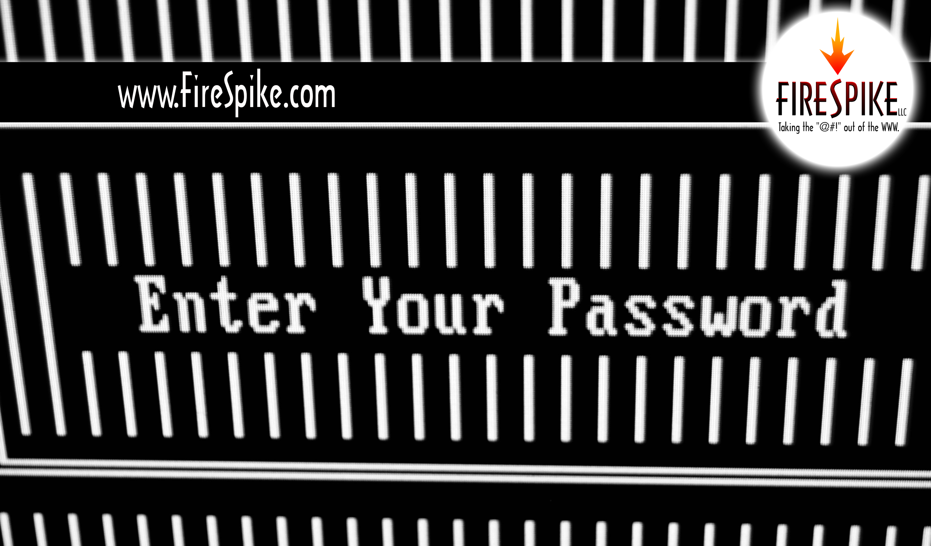 FireSpike LLC offers website security tips.