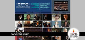 FireSpike LLC Website Audit CMC