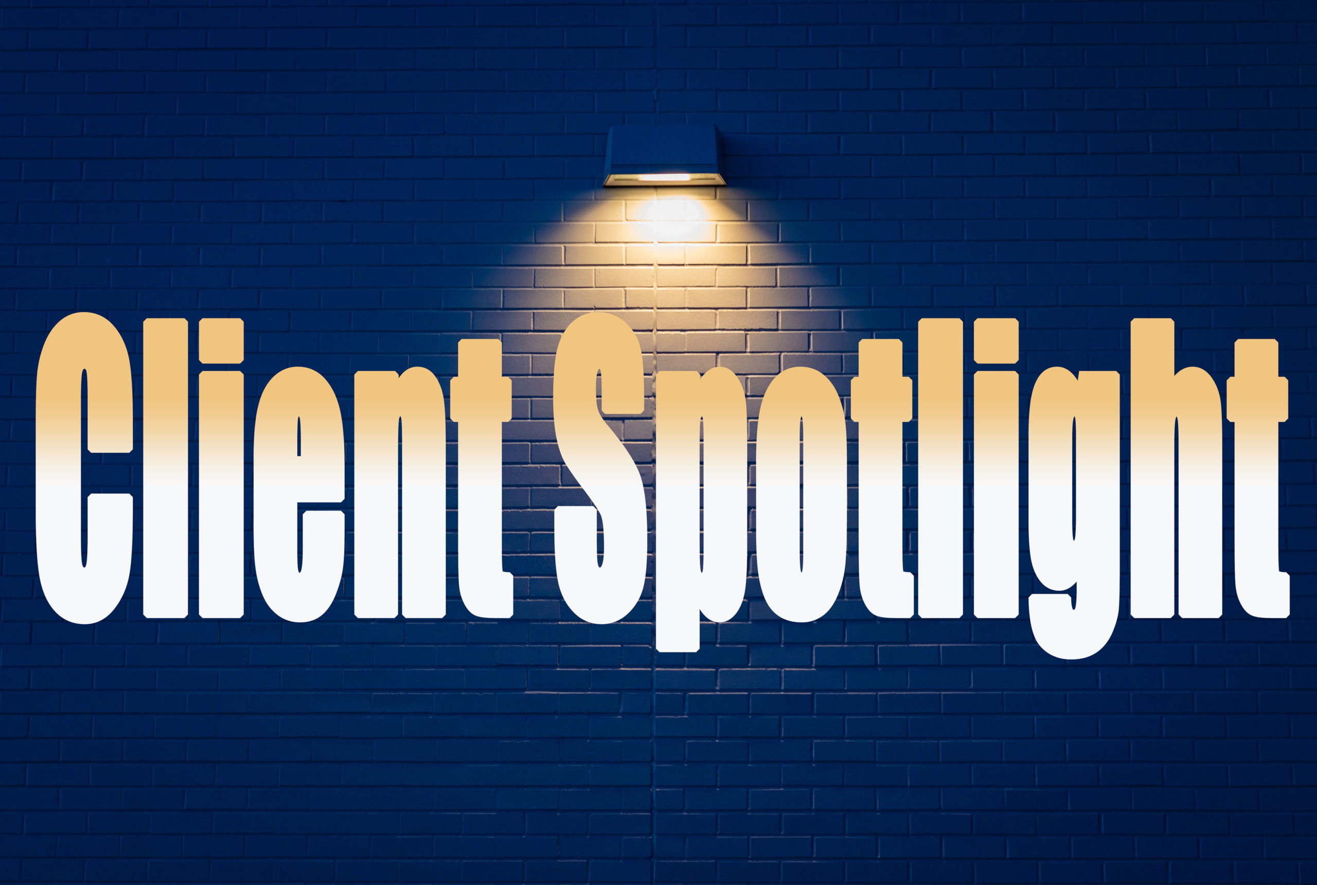 Client Spotlight Elizabeth Aaron Interior Design Web Development And