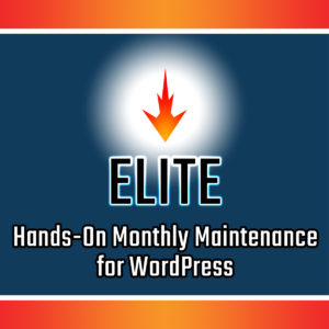 Elite WordPress Maintenance Services