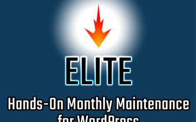 SEO Basics & FireSpike’s SEO Approach