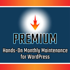 Premium WordPress Maintenance Services