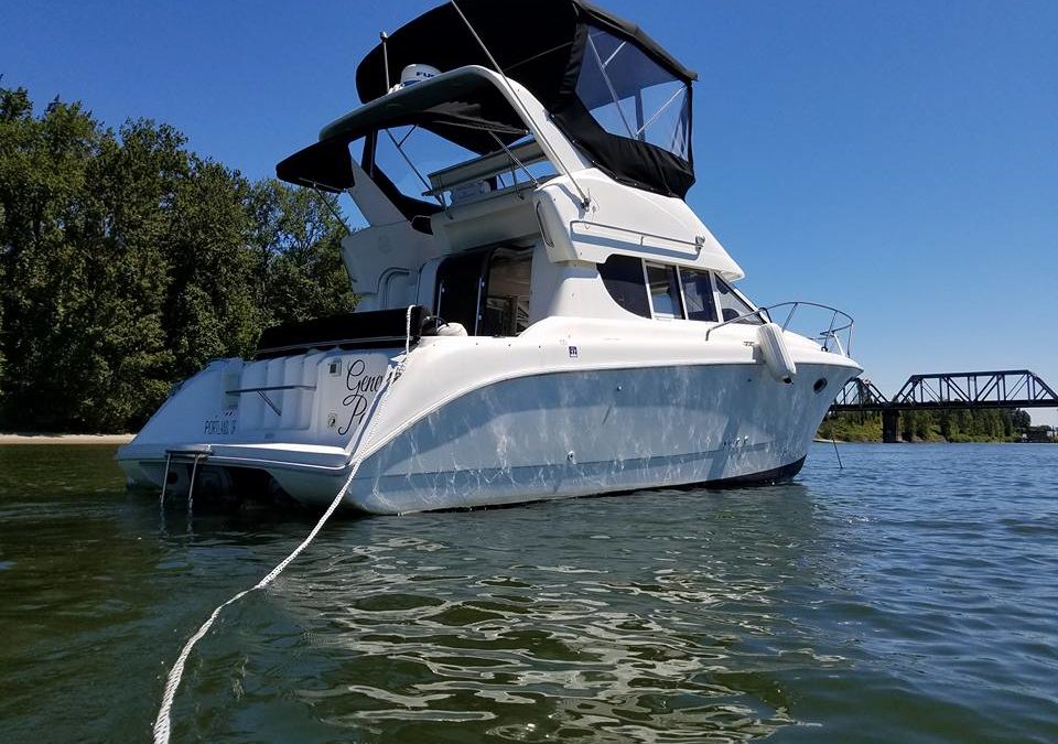 Just One Night On The Boat: ﻿A Snow Story