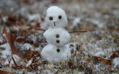 Texas Snowman