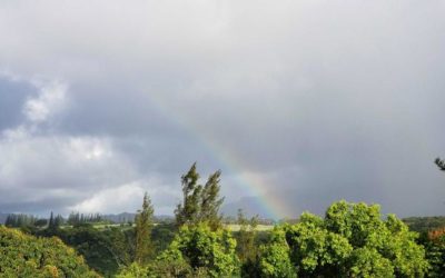 Behind the Curtain : An Exciting June
