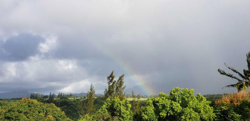 Behind the Curtain : An Exciting June