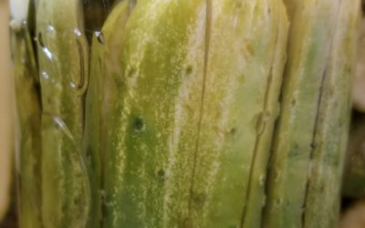 Food Stories : The Family Pickle Recipe